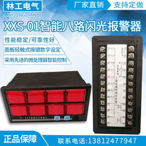 智能八路闪光报警器/智能闪光报警仪/8路闪光报警仪 xxs-01型佳敏