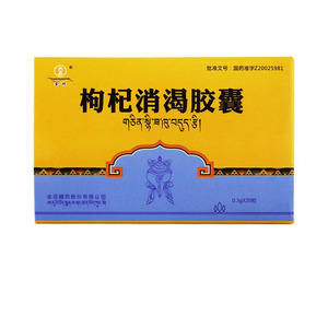 金诃 枸杞消渴胶囊 0.