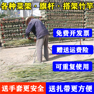 00八仙过海商贸店淘宝阳台蔬菜架种西红柿架子种植番茄黄瓜辣椒茄子