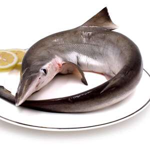 莱客东山岛野生冷冻小白鲨每条1.5斤 新鲜鲨鱼肉 海鱼冷冻曲齿鲨