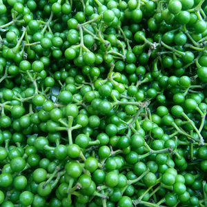 四川现摘山胡椒野生新鲜木姜子新鲜重庆山苍子木浆子1斤500克包邮