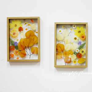 植物压花挂画 家居干花装饰画 餐厅客厅墙面饰品永生花玻璃摆件
