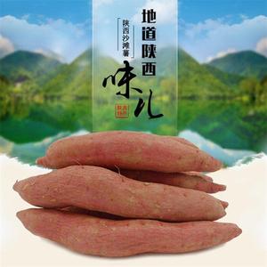 5斤沙地糖心烟蜜薯烤红薯新鲜小地瓜新鲜山竽农家番薯现挖
