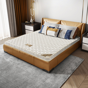 天坛床垫 棕垫1.8米偏硬天然椰棕床垫1.5m折叠棕榈乳胶席梦思床垫
