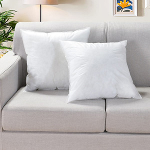 无纺布抱枕芯沙发靠枕靠垫规格齐全方枕芯正方形靠背枕芯 2个包邮