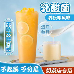 茶小冷含乳优酪多浓浆乳酸菌饮品浓缩多乐养酸奶益菌乳酸多1.2kg