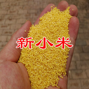 2023新小米河北农家小黄米月子米 香糯粘稠好吃的粗杂粮5斤包邮
