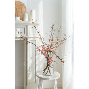 海棠花带花苞鲜切鲜花鲜切枝条水养鲜花插花家用插花鲜花水养中式