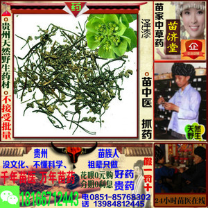 五朵云泽漆贵州苗济堂苗家中草药天然野生中药材中医偏方抓药配药