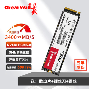 长城m2固态1TB硬盘512G高速NVME台式机2TBSSD笔记本PCIE3.0一体机