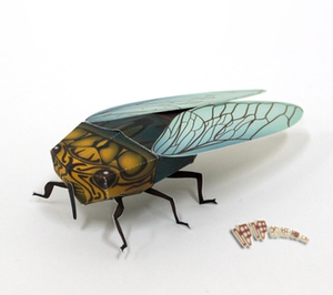 diy手工折纸儿童玩具 仿真昆虫摆件摆设 知了 3d纸模立体拼图模型