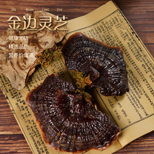 金边灵芝整朵(切片) 泡水泡酒煲汤 醇香回甘 广东煲汤食材金边