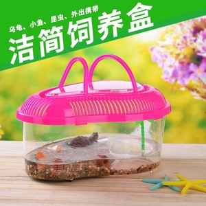 小宠简易饲养盒高透明乌龟昆虫蜥蜴角蛙寄居蟹饲养水陆缸外出携带