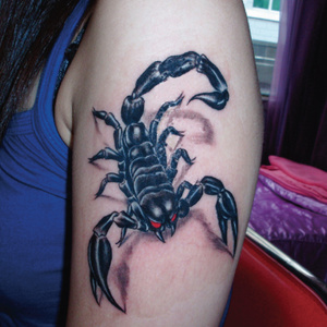 3d立体遮疤痕手臂手腕花臂琵琶虫钳蝎金虫五毒蝎子纹身贴防水x048