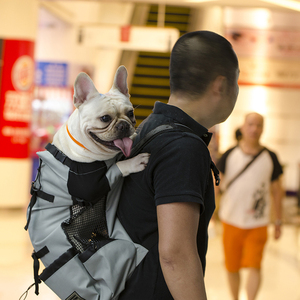 一件代发道格新款宠物包宠物旅背包猫咪狗狗外出宠物包胸前背包手
