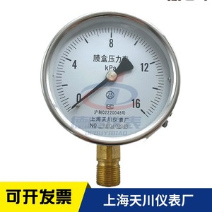 上海天川仪表厂YE-100 膜盒压力表 微压表 煤气表负压表 千帕表