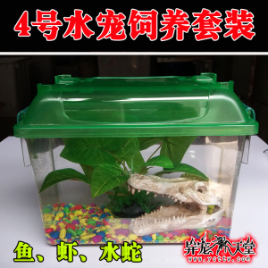 角蛙饲养箱造景套装