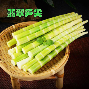 野生绿笋500g 绿竹笋尖 新鲜春笋 嫩笋尖 翡翠绿笋高山笋脆嫩爽口