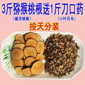 刀口药和杨桃根