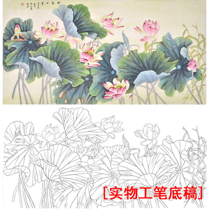 SH35高清工笔国画四尺六尺荷花水池工笔画白描底稿线描什物打印稿