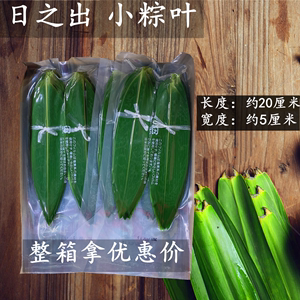粽子叶100片新鲜青竹叶箬叶寿司料理烤肉装饰用小粽叶真空