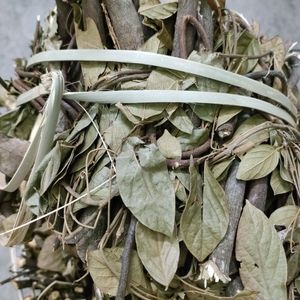 包邮月子草药老人根血风藤客家人做月子洗澡产妇洗澡1捆15小扎