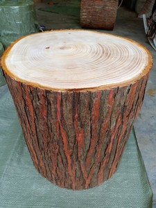 大木桩树桩实木墩子树墩原木茶几凳香椿木坐凳圆木头庆典活动装饰