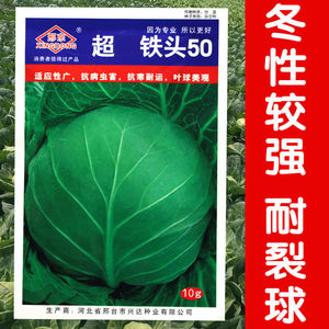 日本铁头 50天成熟圆球形甘蓝种子 早熟包菜卷心菜莲花白种子抗寒