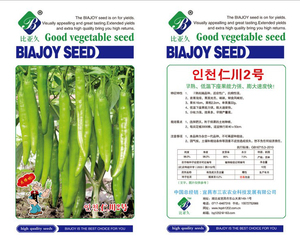 韩国进口仁川2号高产杂交辣椒种子优质蔬菜种子杭椒种子尖椒青椒