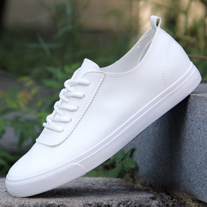 纯白色皮面帆布鞋男夏季透气薄款学生平底白鞋百搭净版纯皮小白鞋