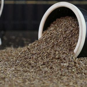 爱蜀味 十里香50g颗粒卤料香料腌料香粉炖肉料可打粉食用家用秘制