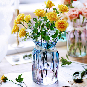 玻璃花瓶透明插花客厅欧式水培富贵竹大小号水养绿萝北欧干花摆件