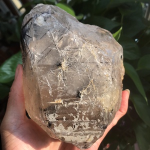 巴基斯坦天然发黑晶黑碧玺原石摆件亮皮水晶黑发晶黑碧玺白发晶