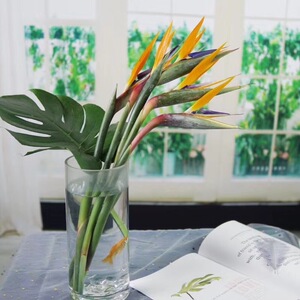 云南昆明鲜花基地:天堂鸟家庭办公室室内插花~招代理