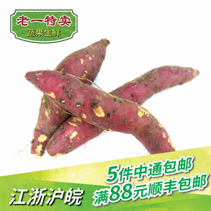 小山芋