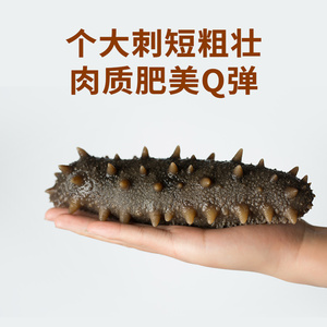 宜样新滋补殷宜燕的窝海之参特大淡干海参山东威海干货刺参220g