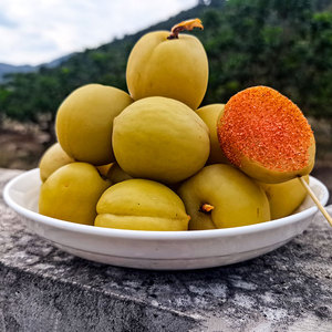 【广西特产酸桃子】广西特产酸桃子品牌,价格 - 阿里巴巴