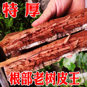 卡宾达树皮特级野生