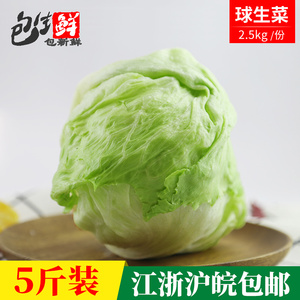 包生鲜球生菜5斤装 江浙沪皖包邮 坏菜包赔 新鲜蔬菜沙拉