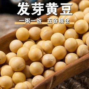 小黄豆发芽率超高发豆芽专用黄豆纳豆农家自用黄豆发芽用珍珠黄豆
