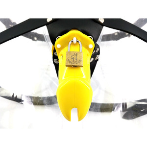 男用cb贞操锁穿戴裤贞洁器锁jj屌囚鸟下体调教虐阳鸟笼子有锁带锁