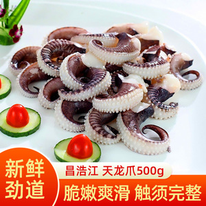 昌浩江天龙爪500g速冻墨鱼须乌贼须水产海鲜半成品菜饭店八爪鱼