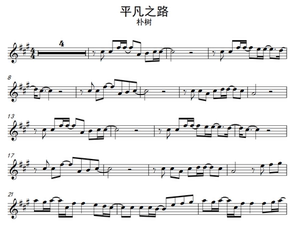 《平凡之路》朴树 长笛版独奏谱 配套伴奏音频 后会无期主题曲
