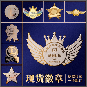 金属徽章定做勋章胸针订制作姓名班校徽司徽小学生设计logo纪念章