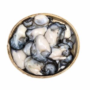 霞浦牡蛎肉   鲜活小海蛎肉 现剥 冰鲜 新鲜水产蛎蝗 蚵仔煎海蛎