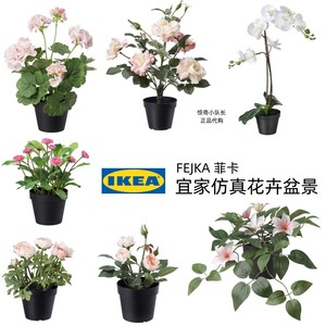 正品IKEA宜家菲卡仿真植物花卉盆景玫瑰兰花雏菊毛茛粉色装饰摆件