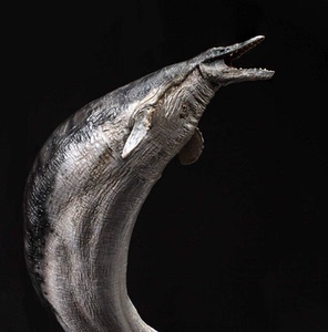 pnso恐龙大王成长陪伴模型龙王鲸奥巴全新官方授权正版现货包邮