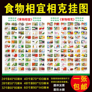 食物相宜相克表 日常生活蔬菜饮食健康家庭小常识海报图片大挂图