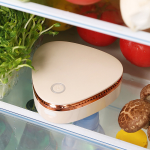 艾美特冰箱除味器空气净化臭氧去味神器消毒杀菌剂除臭卫士除菌盒