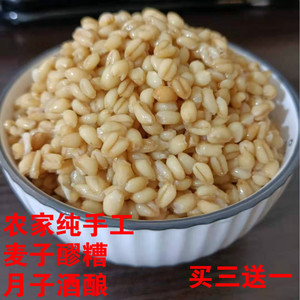 麦子醪糟 四川特产广元青川农家纯手香甜酒酿500g瓶装买四送一瓶